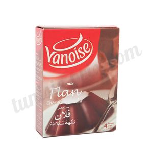 Préparation flan goût chocolat Vanoise 65g