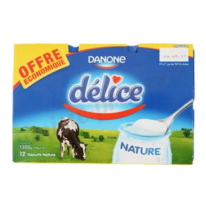 Lot de 12 yaourt nature Délice 12x110g
