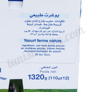 Lot de 12 yaourt nature Délice 12x110g