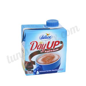 Lait aromatisé chocolat DayUP Délice 0,5L