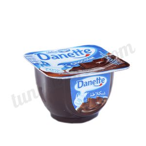 Danette chocolat Délice 100g